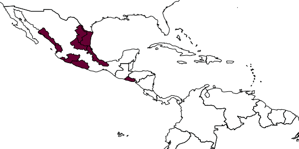 map of Eretmocerus jimenezi     Rose, 2000